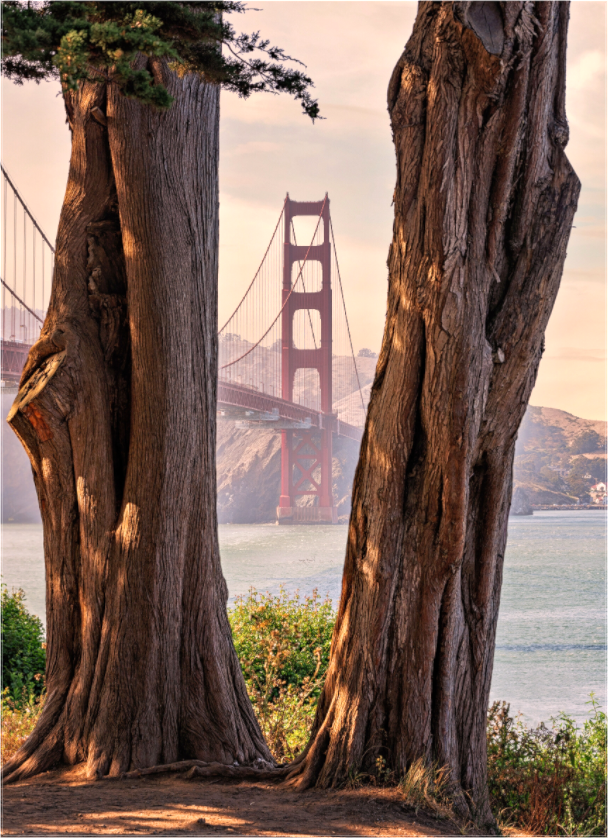 Framing, Golden Gate Bridge