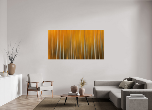 Autumn Forest | Abstract Movement in Wyoming
